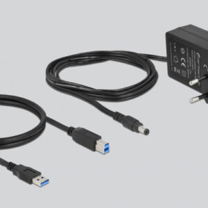 DELOCK USB hub 63670 με διακόπτες, 10x θυρών, 5Gbps, γκρι 3 5Gbps