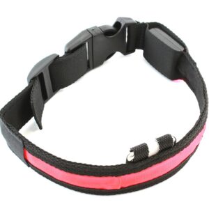 Περιλαίμιο σκύλου AG232 με φωτισμό LED, 34-44cm, μαύρο-κόκκινο 1 AG232