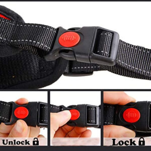 Σαμαράκι σκύλου ANM-0002 Νο S, μπλε 3 ANM 0001 1