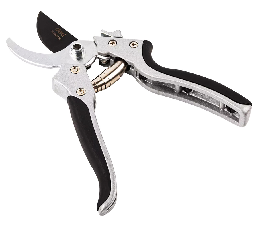 DL580206-2 DL580206 2