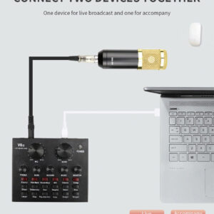 Κονσόλα με επαγγελματικό πυκνωτικό μικρόφωνο V8-CONT-SET, μαύρο-χρυσό 3 V8 CONT SET 2