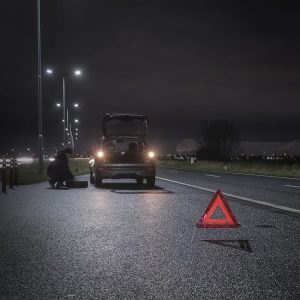 PROPLUS τρίγωνο ασφαλείας αυτοκινήτου 540271 με θήκη 2 540271 2