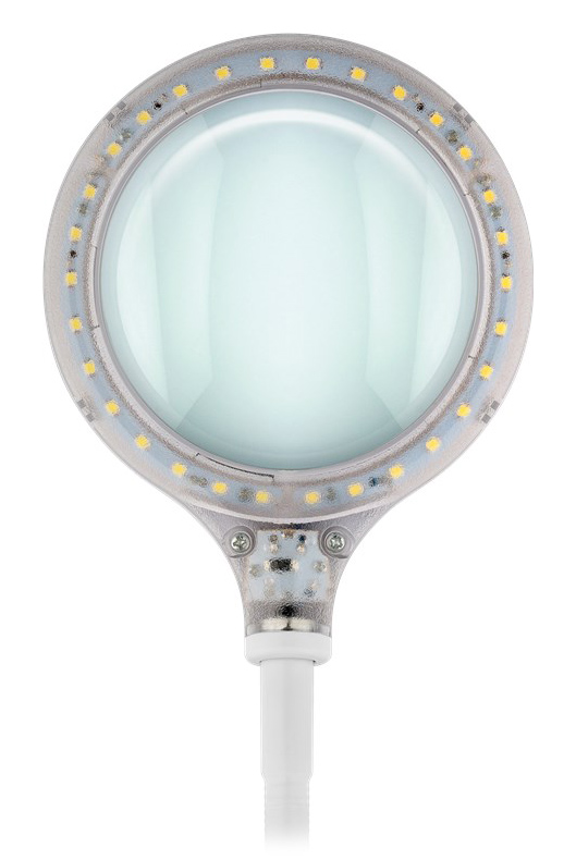 λευκός λευκός