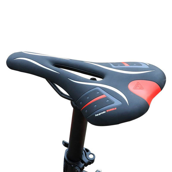 ανατομική ανατομική