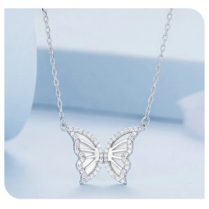 BSN293 2