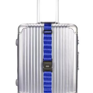 ρυθμιζόμενος