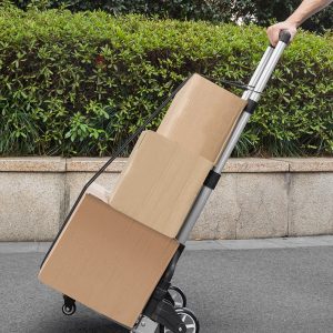 DELI καρότσι μεταφοράς φορτίων DL431071, πτυσσόμενο, έως 70kg, μαύρο 2 πτυσσόμενο