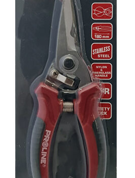 ανοξείδωτος