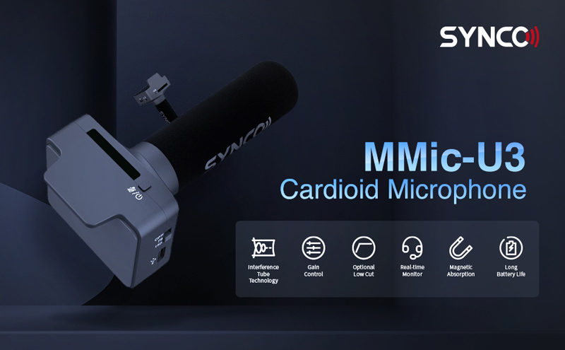 δυναμικό δυναμικό