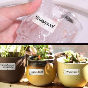 NIIMBOT smart θερμικός εκτυπωτής ετικετών B18, 203dpi, Bluetooth, λευκός 3 Bluetooth