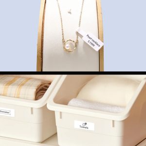 NIIMBOT smart θερμικός εκτυπωτής ετικετών B18, 203dpi, Bluetooth, λευκός 4 λευκός