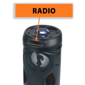 MANTA BT KARAOKE LOUDSPEAKER WITH MICROPHONE RMS 15W 4 026 01 000165 4