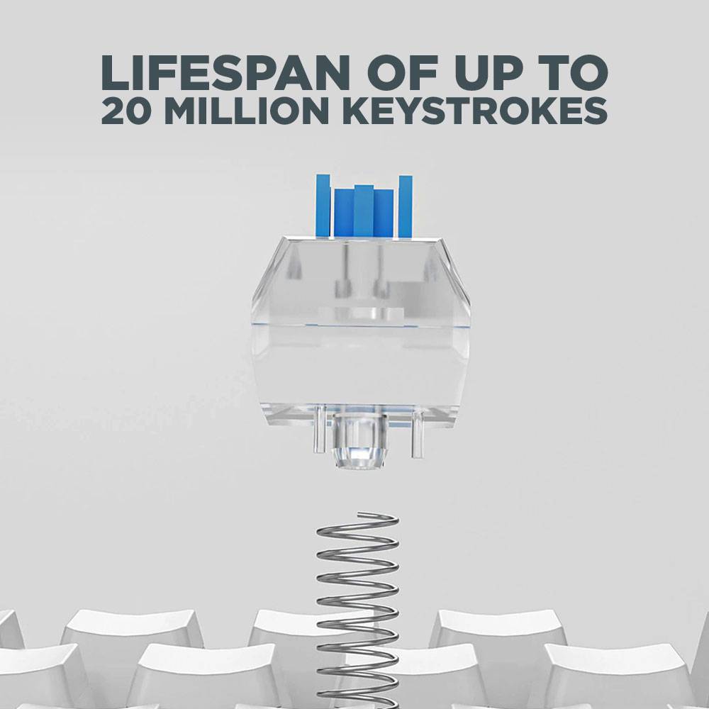 5.-1000×1000-2 5. 1000x1000 2