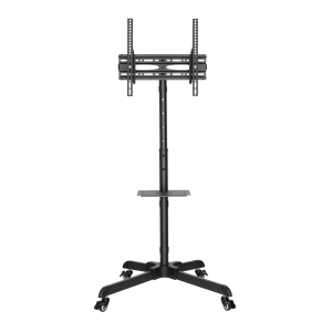 FS 224 2 3 thumb 600 600