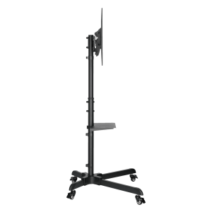 FS 224 2 4 thumb 600 600