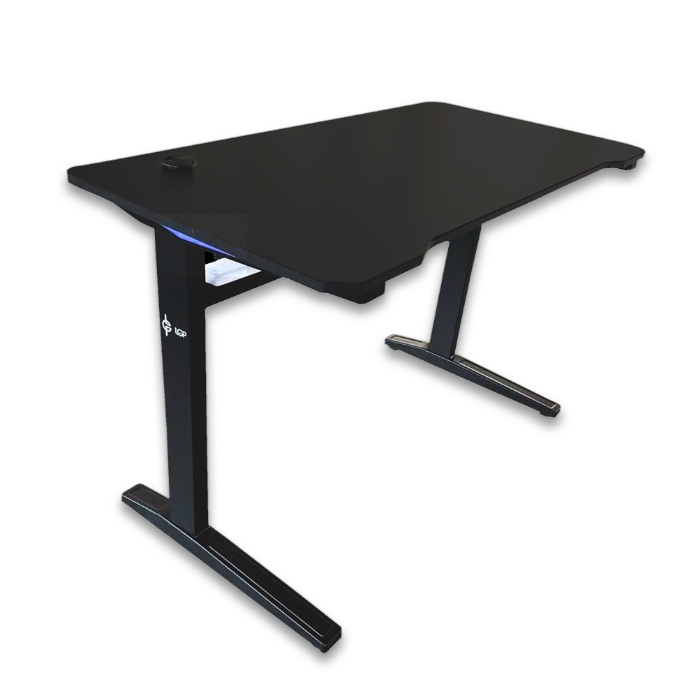 LGP112822-6-1 LGP112822 6 1