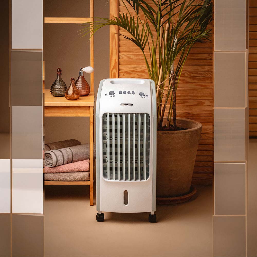 ms_7918_13-big-1 ms 7918 13 big 1