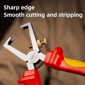 ρυθμιζόμενος