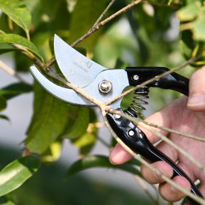 DELI κλαδευτήρι DL580200 με μέγιστη διάμετρο κοπής 14mm, 200mm 3 DL580200 2