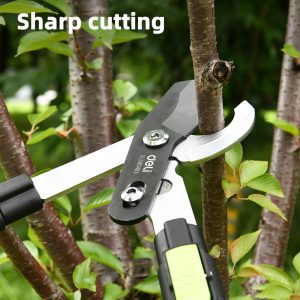 πτυσσόμενο