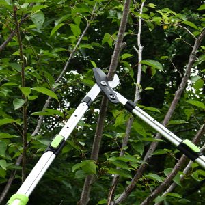 DELI ψαλίδι κλάδου DL580423 για κλαδιά έως 25mm, πτυσσόμενο, 630-870mm 4 DL580423 2