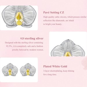 BAMOER σκουλαρίκια καρφωτά BSE1170 με κυβική ζιρκόνια, ασήμι 925, ασήμι 4 BSE1170 3